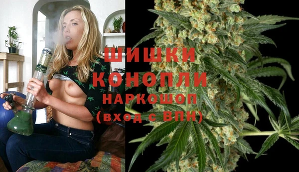 бошки Бородино