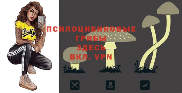 ALPHA PVP Вяземский