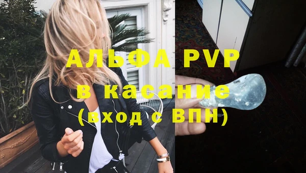 стафф Ступино
