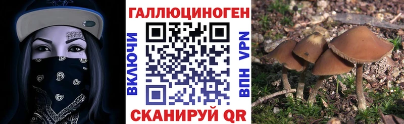 нарко площадка какой сайт  Выборг  Галлюциногенные грибы Cubensis 